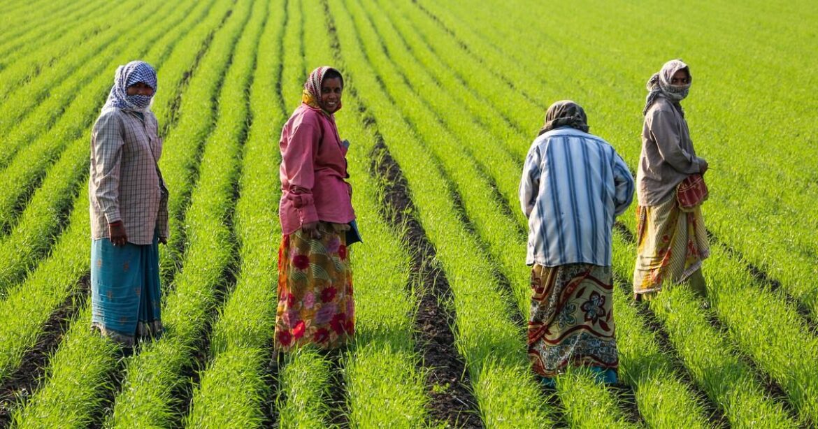 Sustainable farming